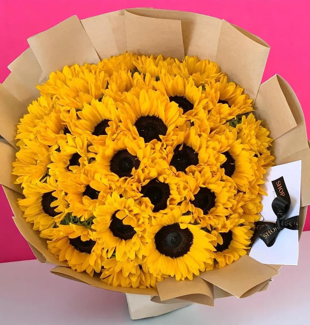 Girasoles