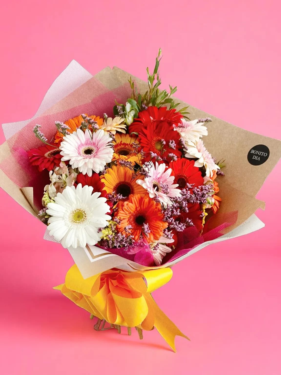 Gerberas